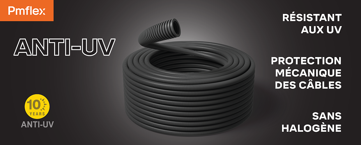 PMFLEX 06/2025
